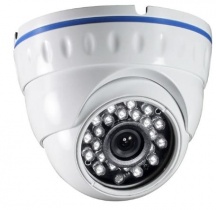 Tecno 59118 Telecamera ip Dome 3.6Mm 5Mpx 36Led Fino a 30 mt Tc-5020-ip