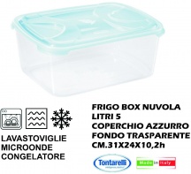 Tontarelli 2631-3 Frigo Box Rettangolare litri 5 Nuvola Acq. Tr.