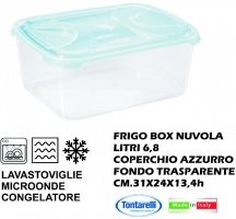 Tontarelli 2632-1 Frigo Box Rettangolare litri 6.8 Nuvola Acq. Tr.