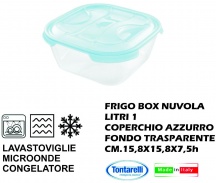 Tontarelli TO2414-2 Frigo Box Quadrato lt 1 Nuvola AcquaTrasparente