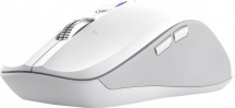 Trust 25674 Mouse Wireless Bluetooth Universale Silenzioso 3200 DPI Bianco