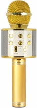 Xtreme 27837K Speaker Bluetooth con Microfono Integrato Karaoke Oro  Hollywood