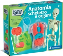Clementoni 19414 Anatomia Scheletro e Organi Gioco Educativo per Bambini da 7+ anni