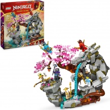 lego 71819 NINJAGO - Santuario della Pietra del Drago Giocattolo 13+ Anni