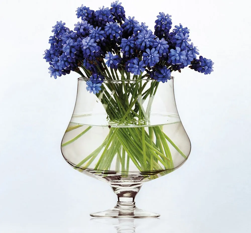 Galileo Vaso d'arredo per fiori in vetro soffiato h.20 cm design a coppa  Petal Sibilla - 5910721